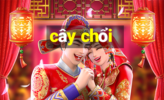 cây chổi