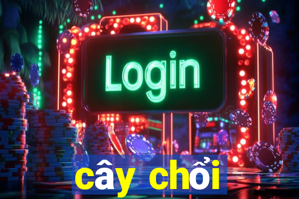 cây chổi