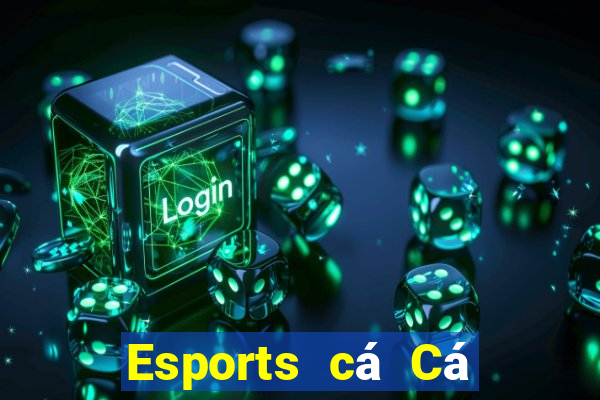 Esports cá Cá cược nước ngoài Fun88 đó là tốt nhất