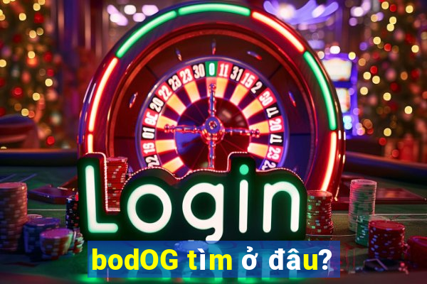 bodOG tìm ở đâu?