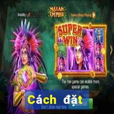 Cách đặt cược XSVL ngày 2