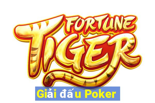 Giải đấu Poker