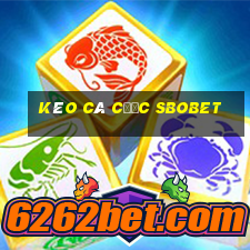 kèo cá cược sbobet