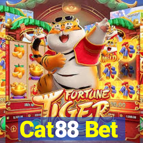 Cat88 Bet