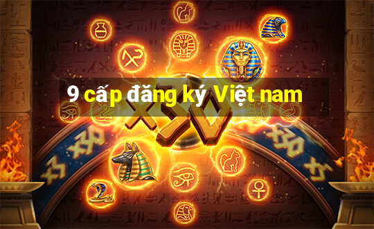 9 cấp đăng ký Việt nam