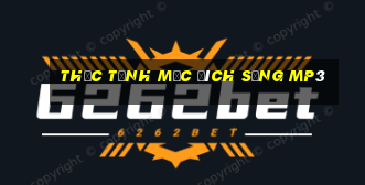 thức tỉnh mục đích sống mp3