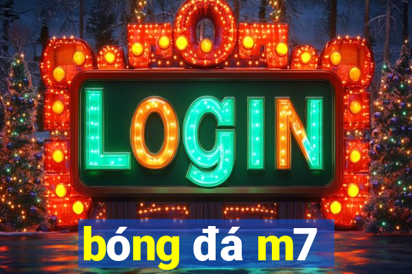 bóng đá m7