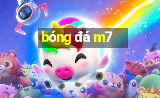 bóng đá m7