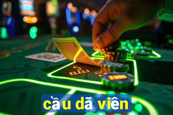 cầu dã viên