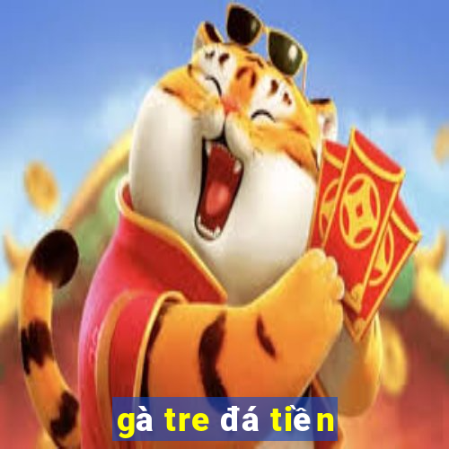 gà tre đá tiền