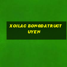 xoilac bongdatructuyen