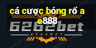 cá cược bóng rổ ae888