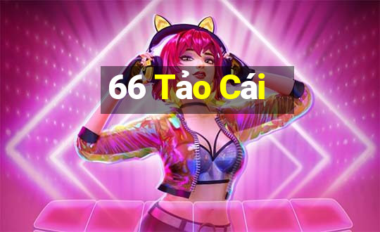 66 Tảo Cái