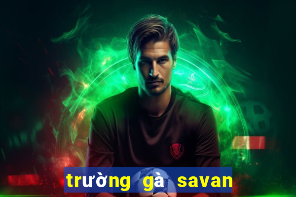 trường gà savan trực tiếp hôm nay