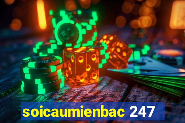 soicaumienbac 247