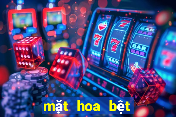 mặt hoa bệt châu như