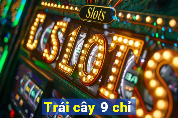 Trái cây 9 chỉ