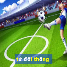 tứ đôi thông