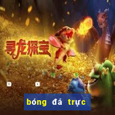 bóng đá trực tuyến world cup 2018