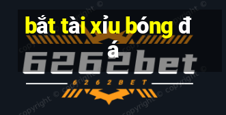 bắt tài xỉu bóng đá