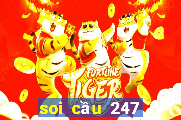 soi cau 247 mien trung