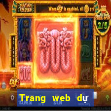 Trang web dự đoán bóng rổ rất chính xác