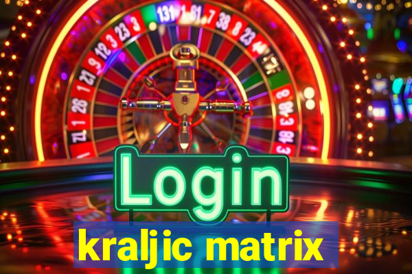 kraljic matrix