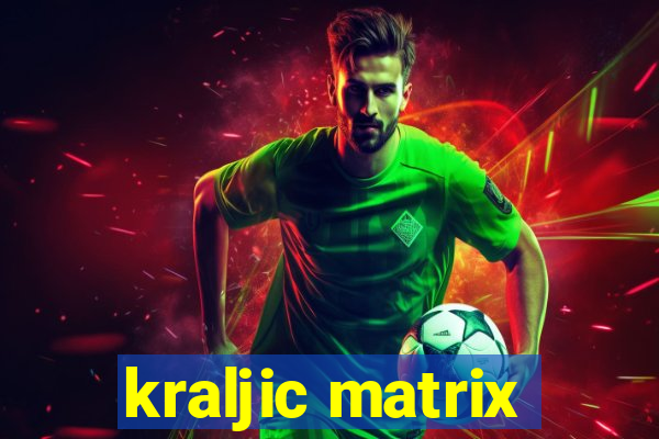 kraljic matrix