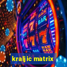 kraljic matrix