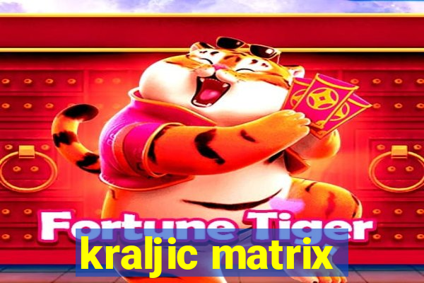 kraljic matrix