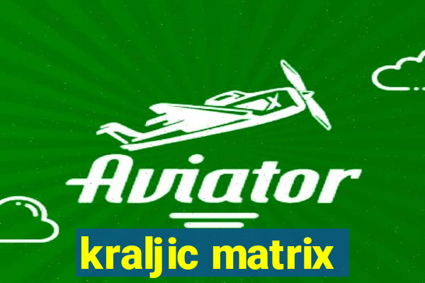 kraljic matrix