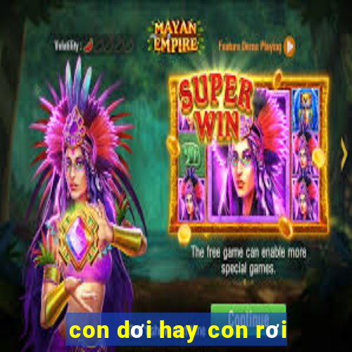 con dơi hay con rơi