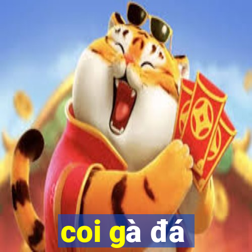 coi gà đá