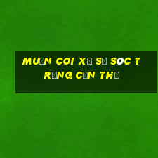 muốn coi xổ số sóc trăng cần thơ