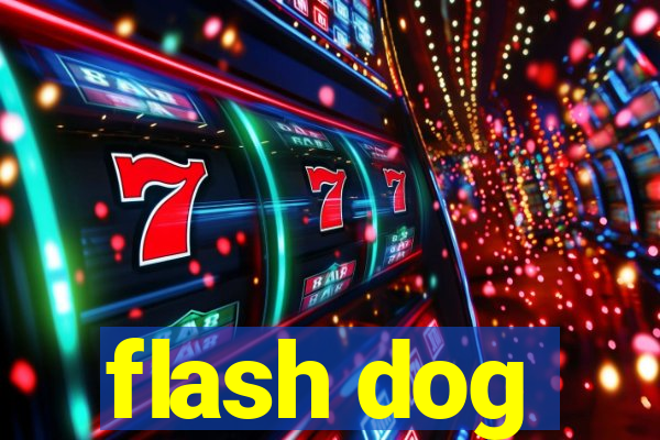 flash dog