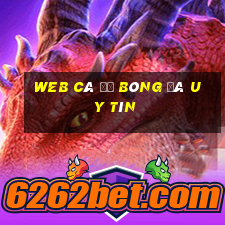 web cá độ bóng đá uy tín