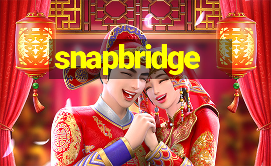 snapbridge