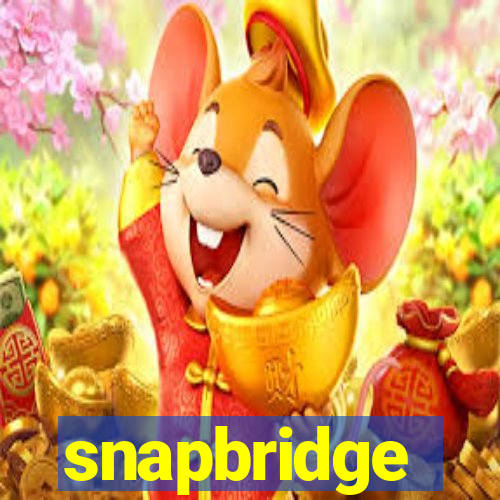 snapbridge