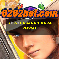 ty so ecuador vs senegal