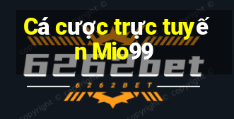 Cá cược trực tuyến Mio99