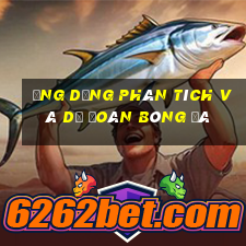 Ứng dụng phân tích và dự đoán bóng đá