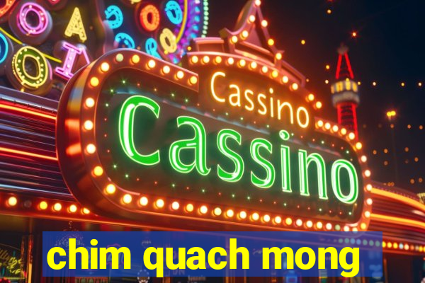 chim quach mong