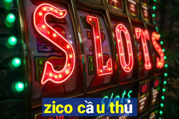 zico cầu thủ