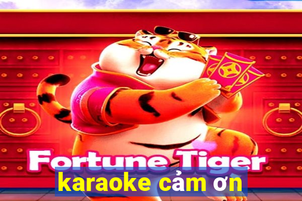 karaoke cảm ơn