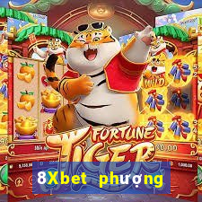 8Xbet phượng hoàng Net Quick 3