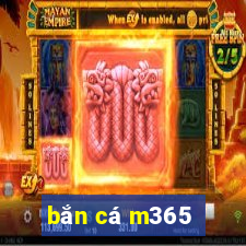 bắn cá m365