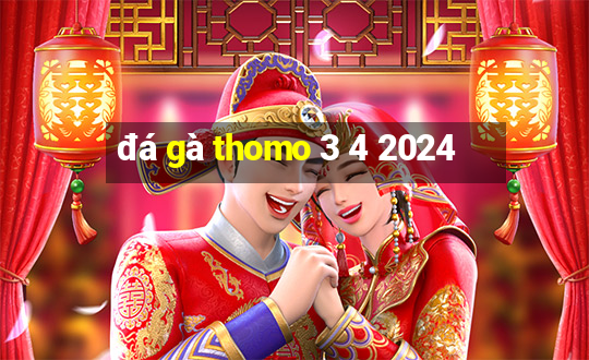 đá gà thomo 3 4 2024