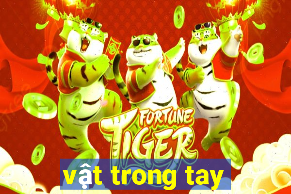 vật trong tay