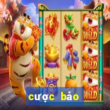 cược bảo hiểm baccarat