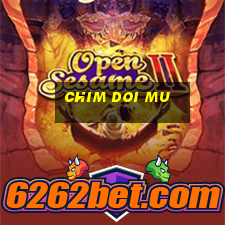 chim doi mu